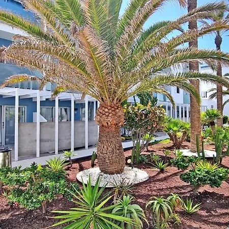 Appartamento Flora Corralejo